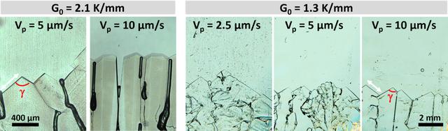 [Figure 4]