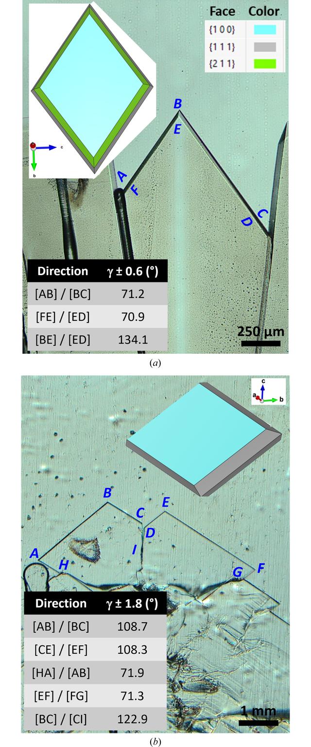 [Figure 6]