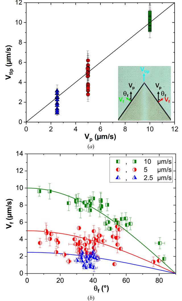 [Figure 7]