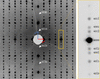 [Figure 4]