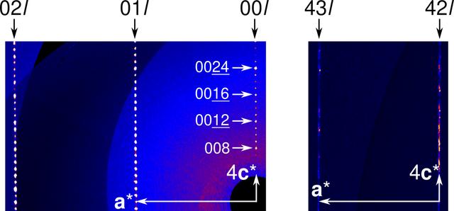 [Figure 1]