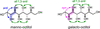 link to html