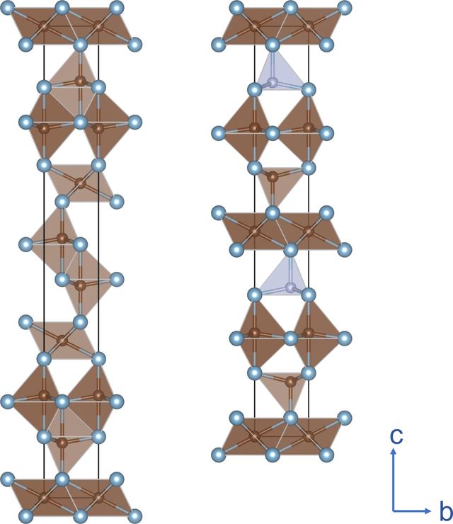 [Figure 1]