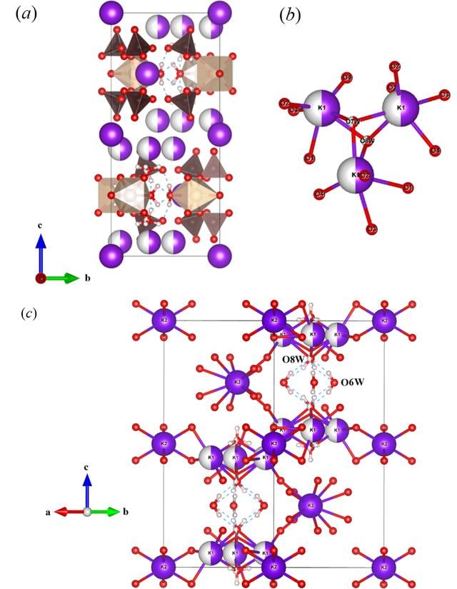 [Figure 5]
