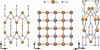 [Figure 1]