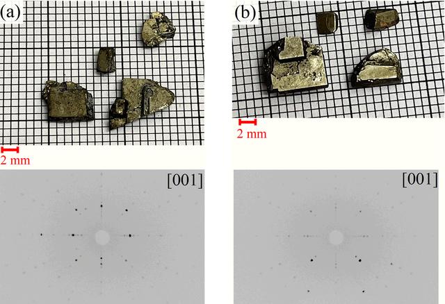 [Figure 2]