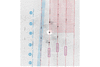 [Figure 3]