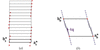 [Figure 4]