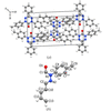 [Figure 4]