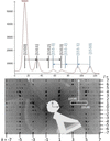 [Figure 2]