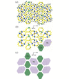 [Figure 2]