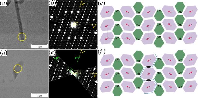 [Figure 5]