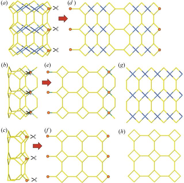 [Figure 6]