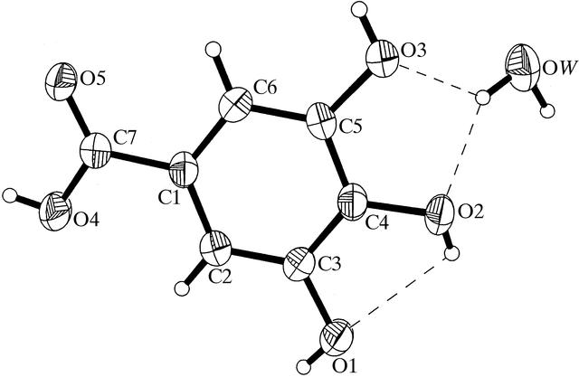 [Figure 1]