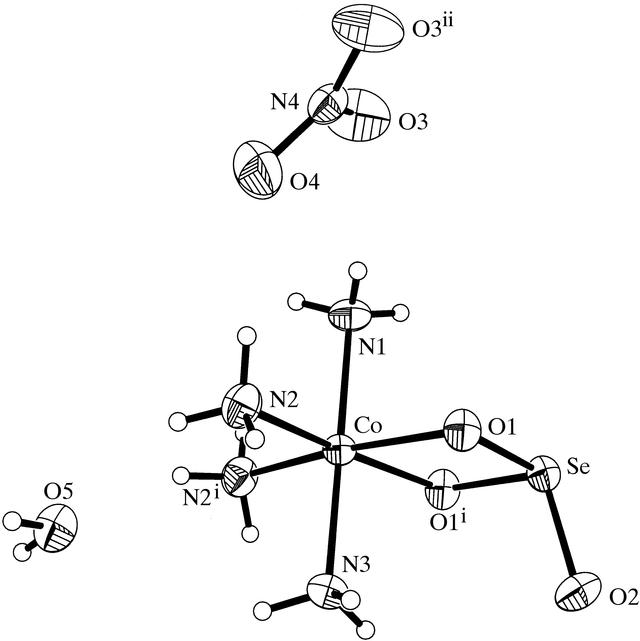 [Figure 1]