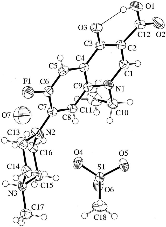 [Figure 1]