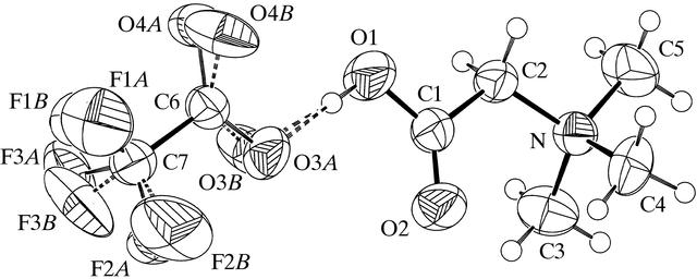 [Figure 1]