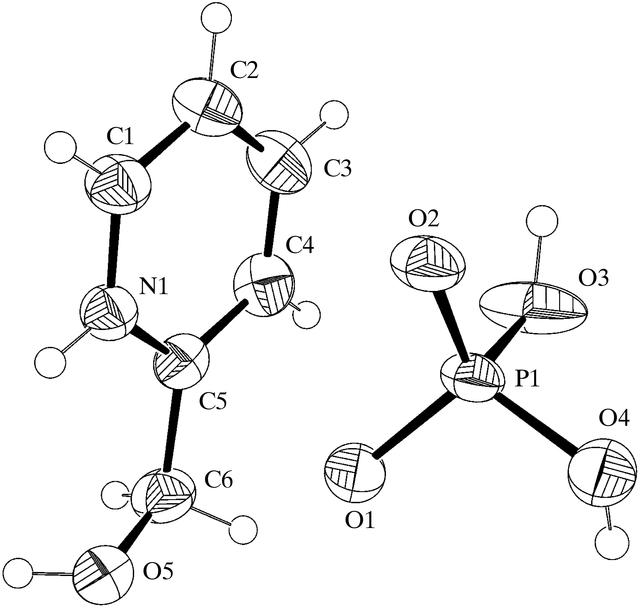 [Figure 1]