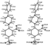 [Figure 4]