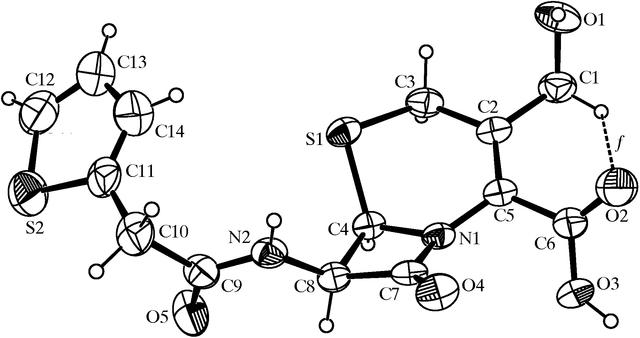 [Figure 1]