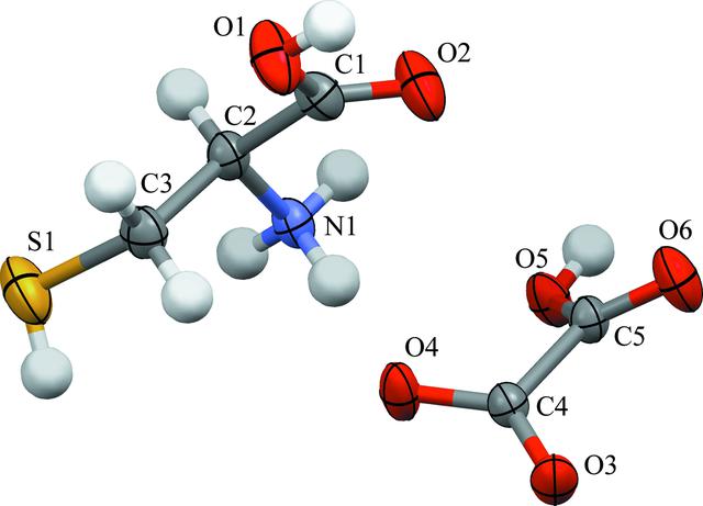 [Figure 1]