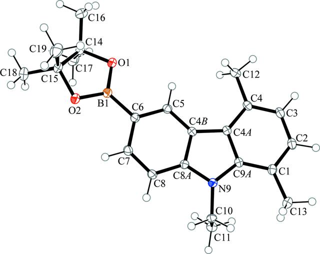 [Figure 1]