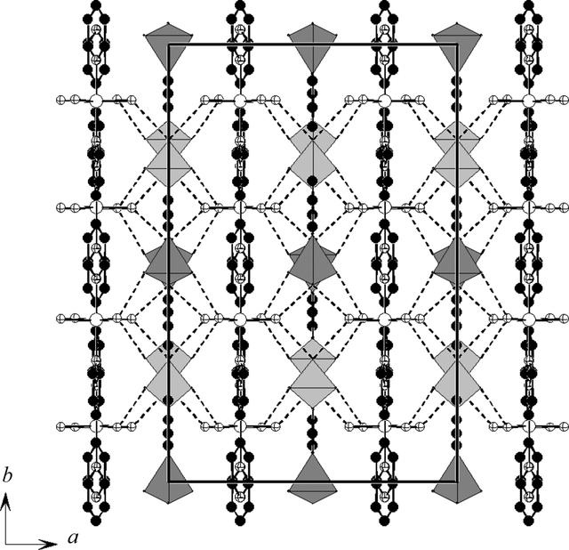 [Figure 7]