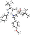 [Figure 1]