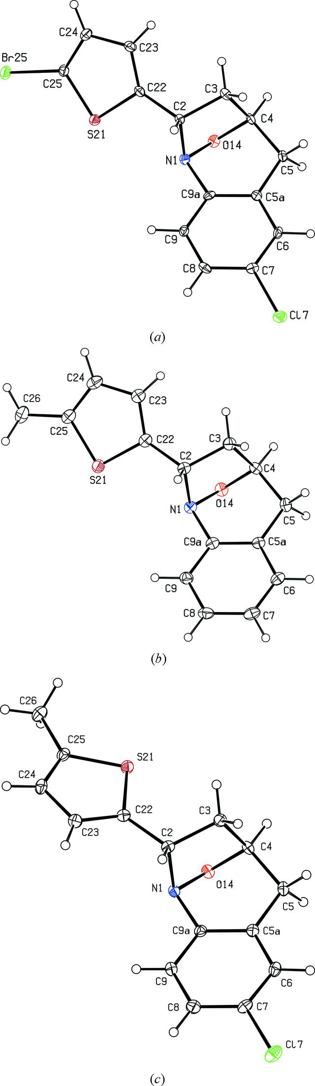 [Figure 1]