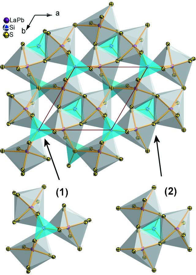 [Figure 1]