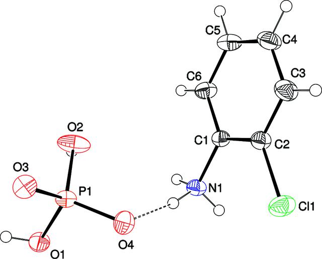 [Figure 1]