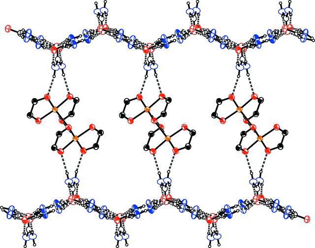 [Figure 4]