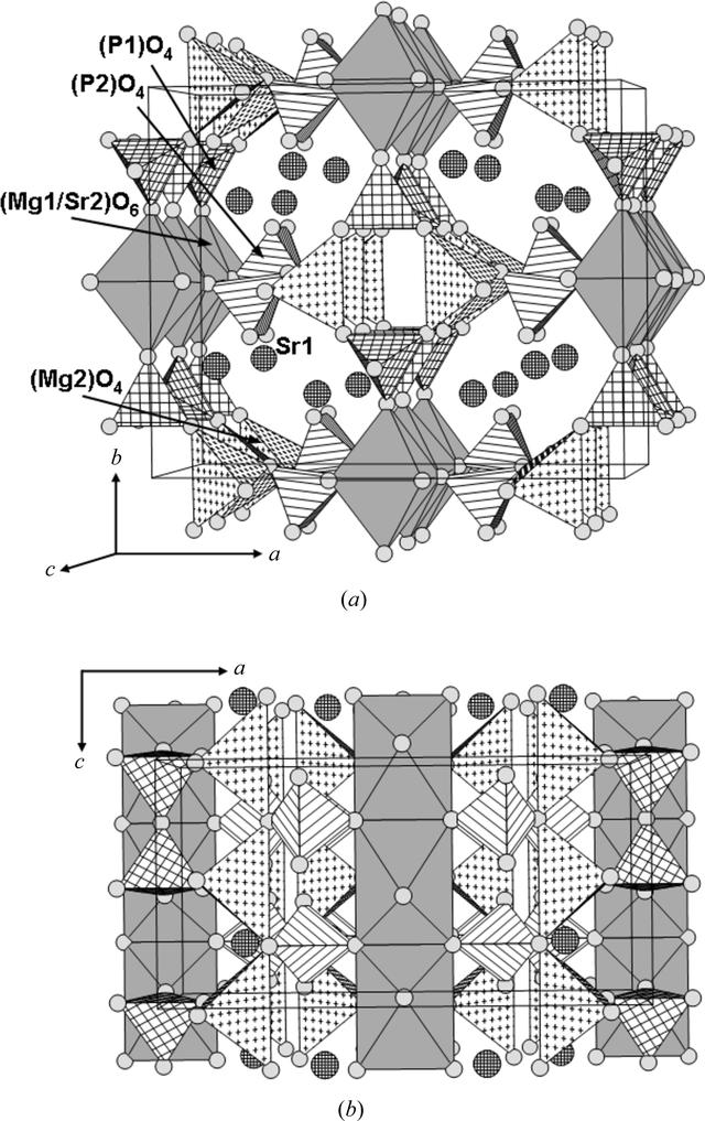 [Figure 2]