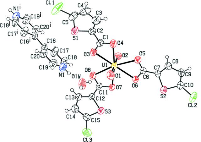 [Figure 1]