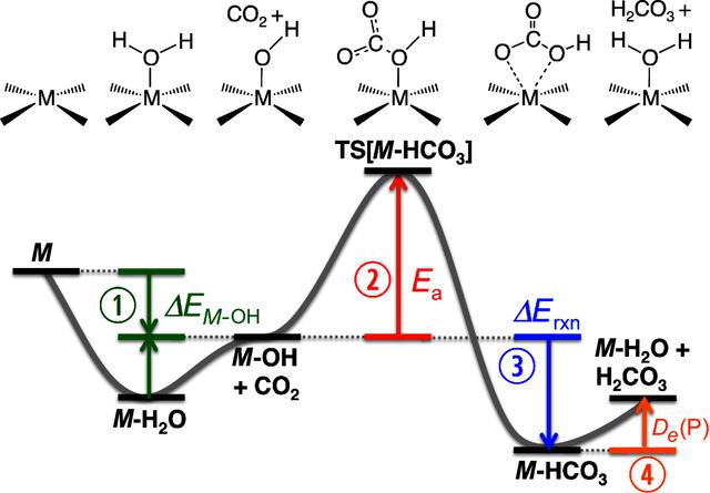 [Figure 1]