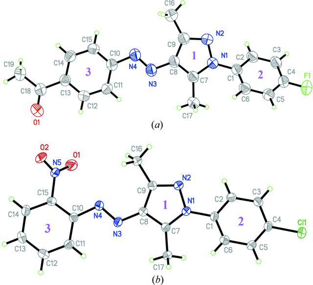 [Figure 1]