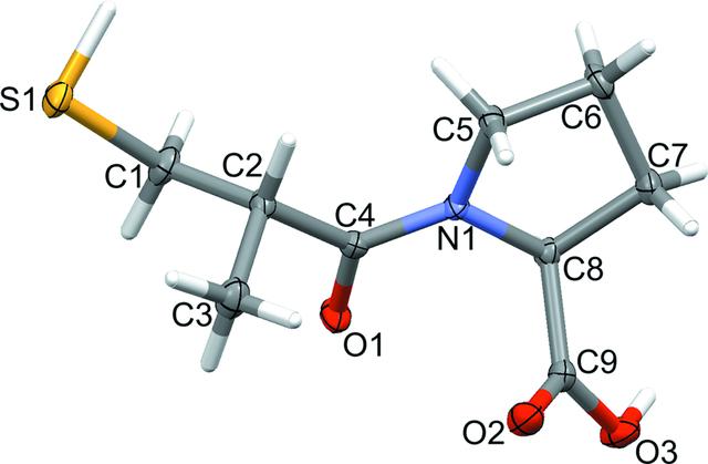 [Figure 1]