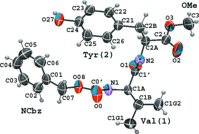 [Figure 1]