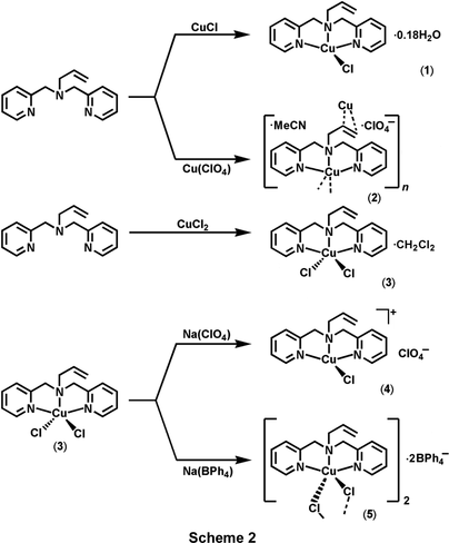 Iucr Structural Studies Of Prop 2 En 1 Yl Bis Pyridin 2 Yl Methylidene Amine Hetero Scorpionate Copper Complexes