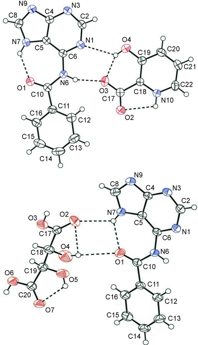 [Figure 1]