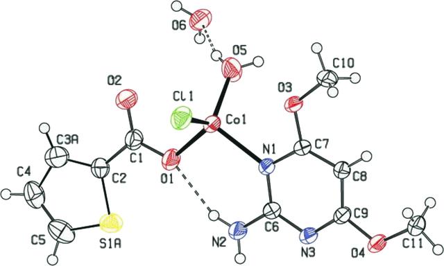 [Figure 1]