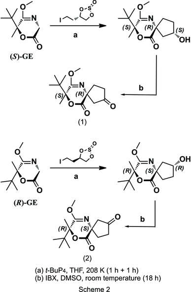 Iucr Conformational Study Of The 3 6 Dihydro 2h 1 4 Oxazin 2 One Fragment In 8 Tert Butyl 7 Methoxy 8 Methyl 9 Oxa 6 Azaspiro 4 5 Decane 2 10 Dione Stereoisomers1
