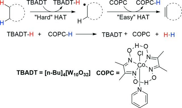 [Figure 6]