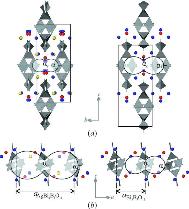 [Figure 6]