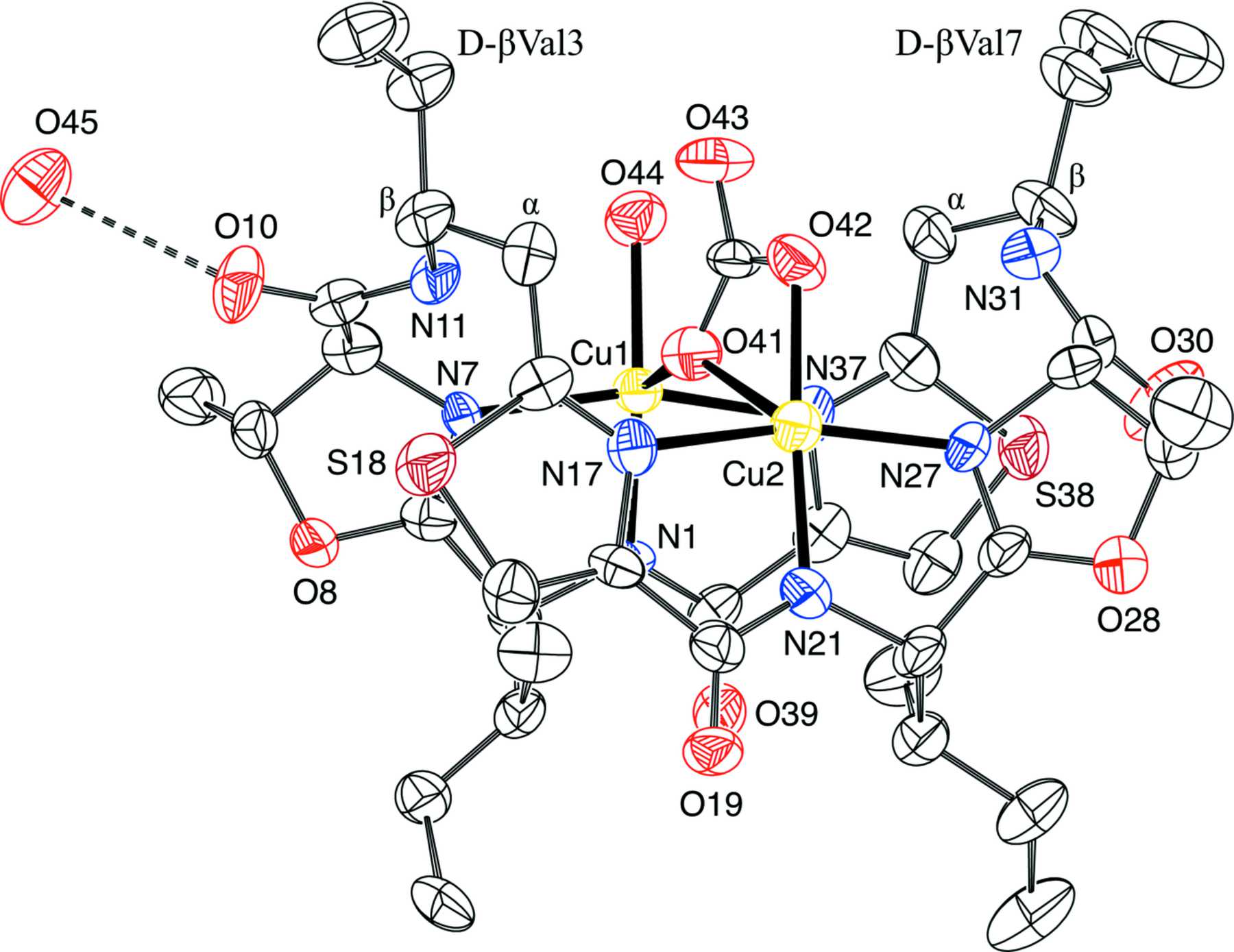 (IUCr) A bis-copper(II)–[ D - β Val 3,7 ]ascidiacyclamide complex ...