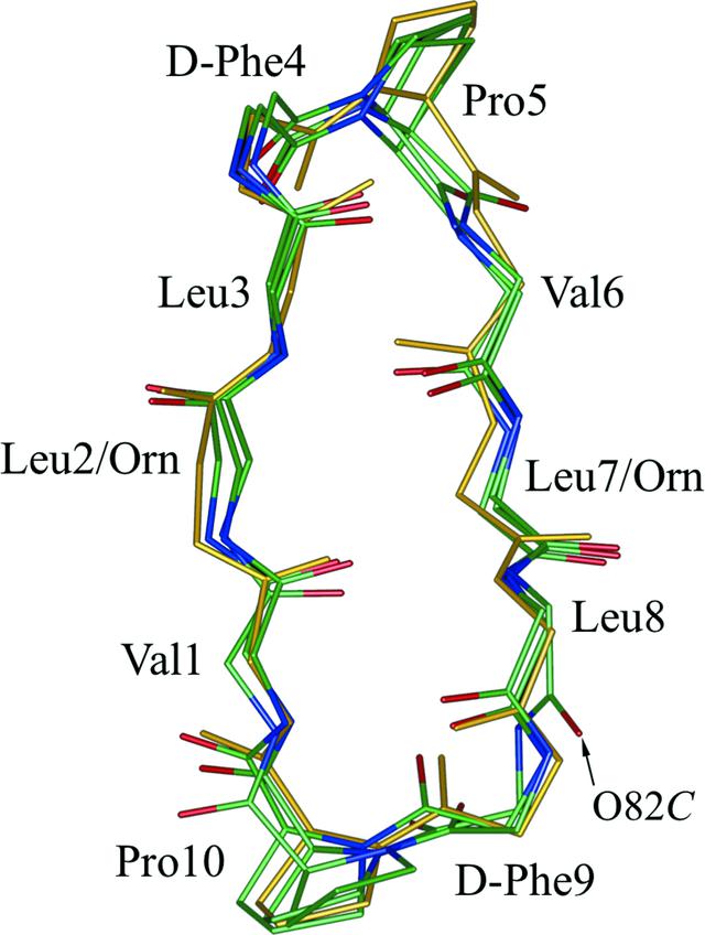 [Figure 2]