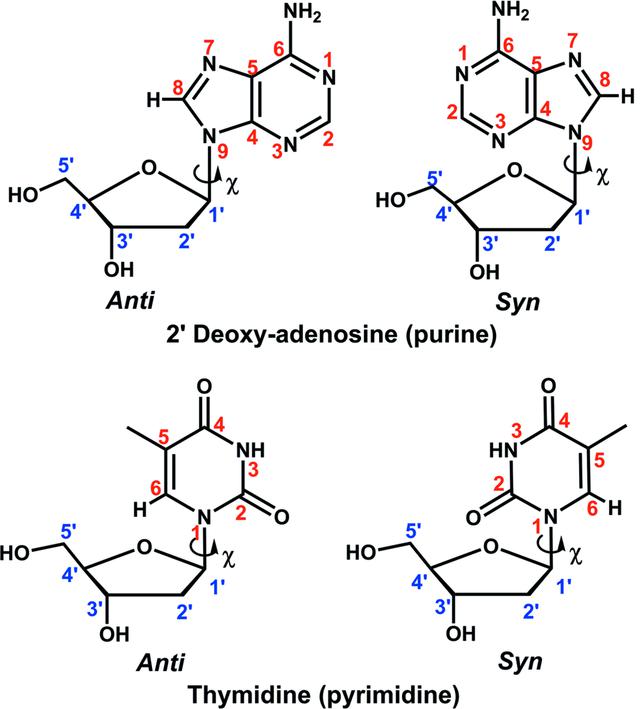 [Figure 4]