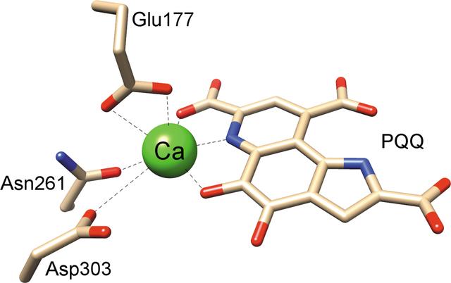 [Figure 1]