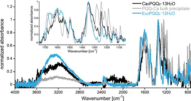 [Figure 4]