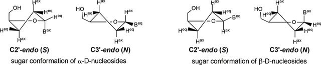 [Figure 5]